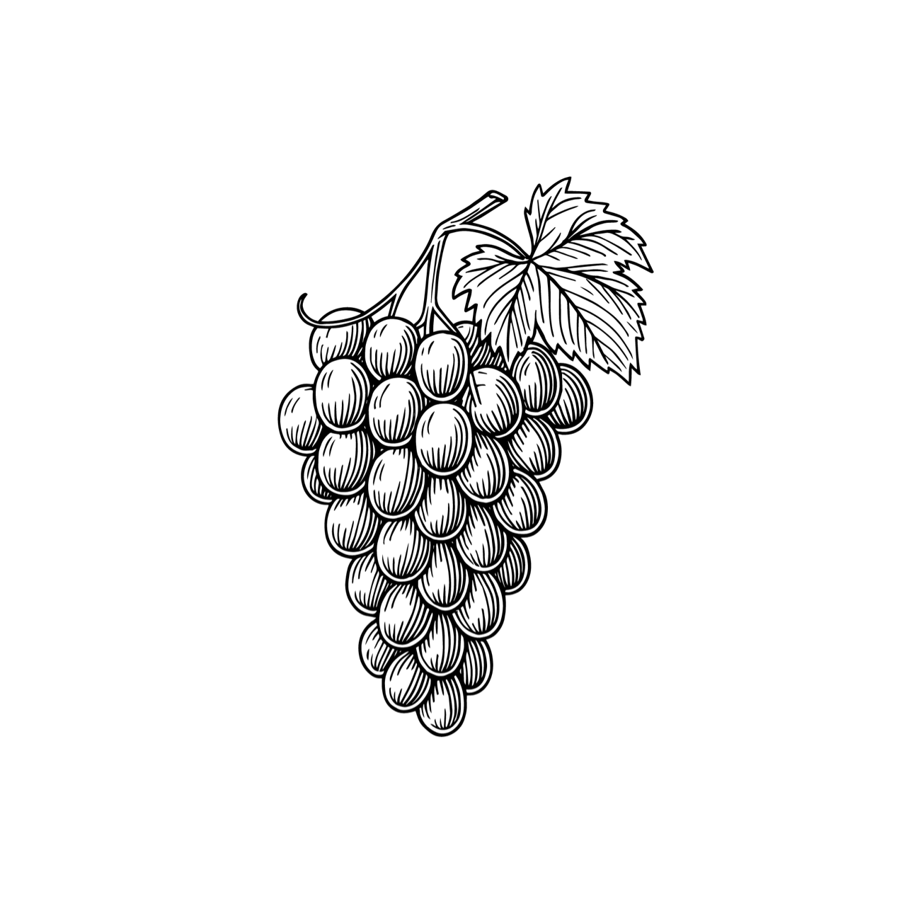 Illustration einer Weintraube mit Blatt in weißer Linienzeichnung auf schwarzem Hintergrund